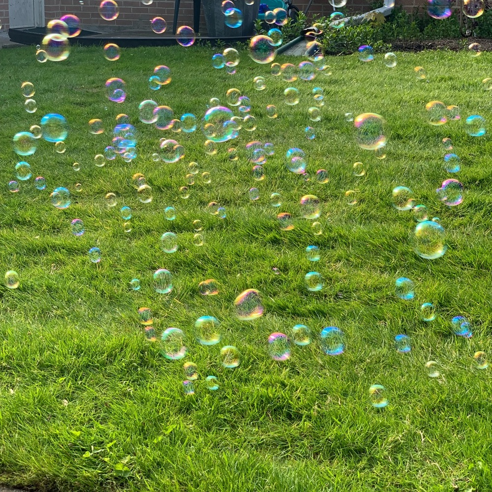 Meet your Posher, Leena